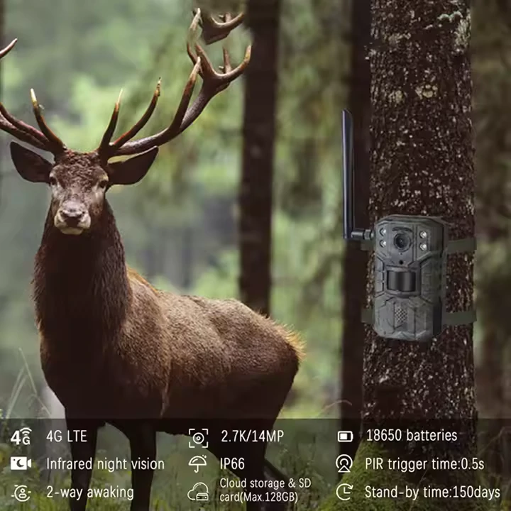 H2 napelemes 4G vadkamera