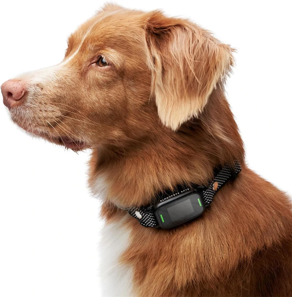 Ugatásgátló kutyanyakörv rezgéssel és hangjelzéssel
