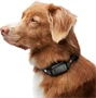 Ugatásgátló kutyanyakörv rezgéssel és hangjelzéssel